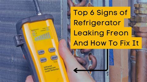 can freon leak from a refrigerator|Signs of Freon Leak in Refrigerator; Here’s How to Fix